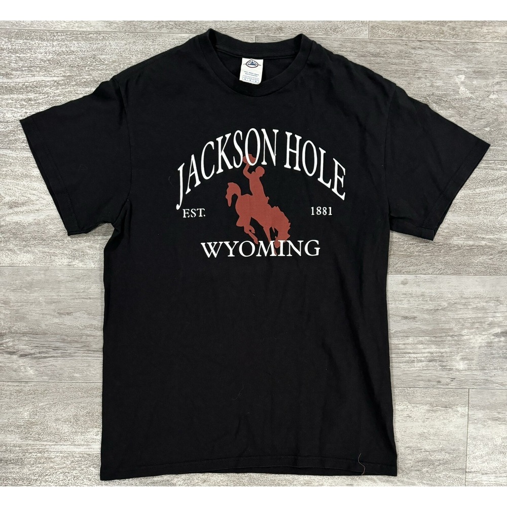 Vintage Delta Pro Weight Jackson Hole Wyoming Cowboy T Shirt Size Medium
